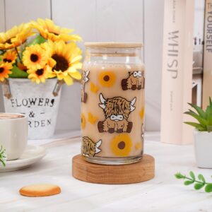 Whaline Highland Cow Iced Coffee Cup with Gift Box Brown Cow Sunflower Drinking Glasses Cute Beer Can Glass with Lid Straw Cleaning Brush for Home Office Women Gifts,16oz