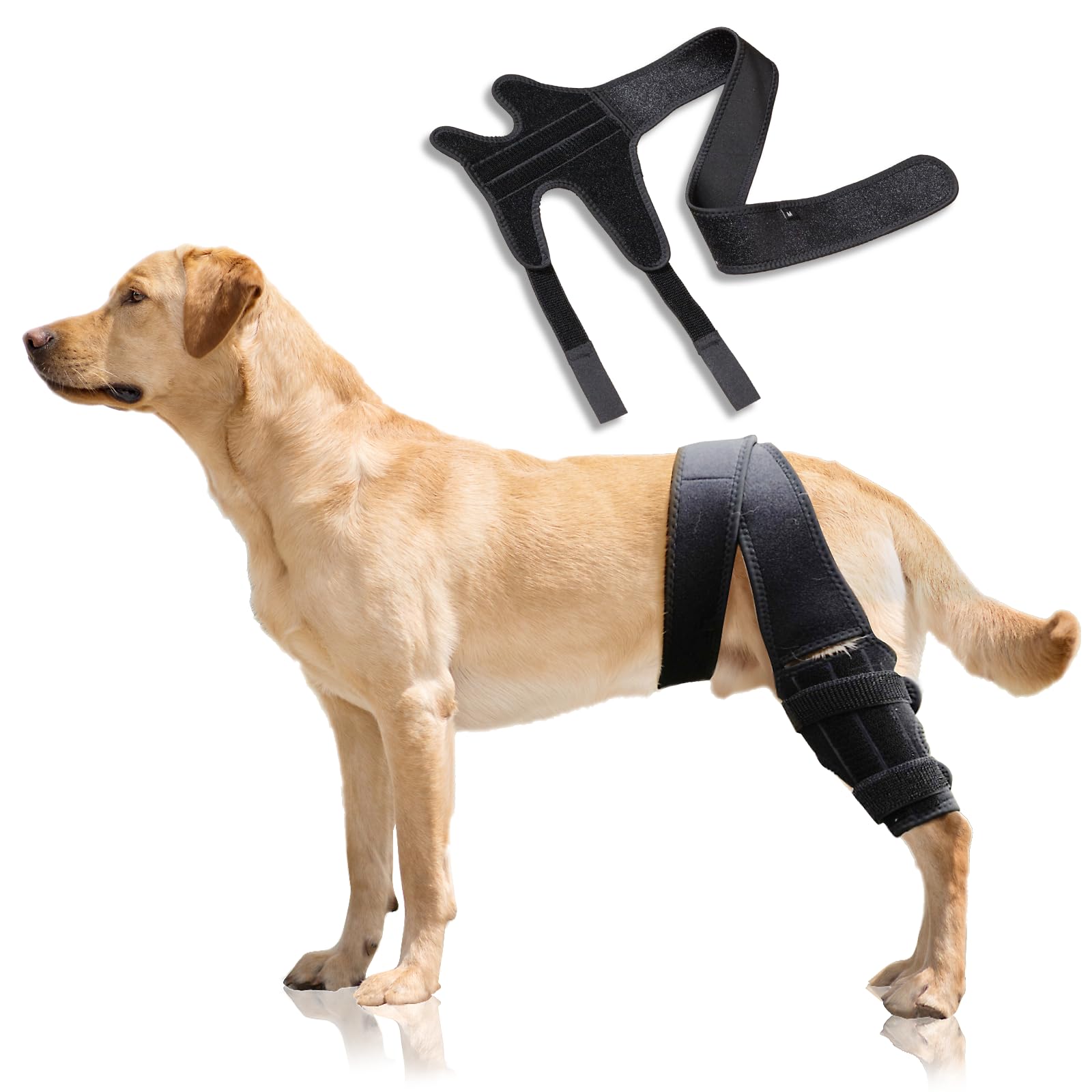 TORJOY Dog Knee Brace Leg Braces - Dog Canine Knee Stifle Brace Wrap Dog Knee Brace for Torn ACL Hind Leg Joint Pain Muscle Sore Pet Brace Reduces Pain and Inflammation (XS)