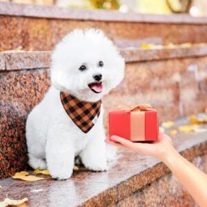 E-Clover Fall Dog Bandana & Matching Scrunchie-Thanksgiving Dog Bandanas Plaid Pet Scarf Bib for Medium Large Dogs Girl Boy Owner Gift Orange Black