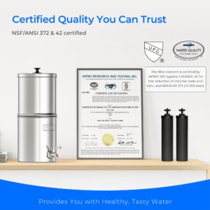 Waterdrop 2.25G Gravity-fed Water Filter System, with Silver Ions Enhanced Filtration with 2 Black Carbon Filters and Metal Spigot