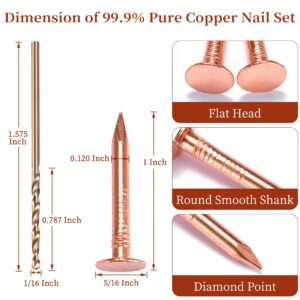 Copper Roofing Nail Set - 60 Pcs 1-Inch Copper Nails & 1/16 Inch Drill Bit, C11000 99.95% Pure Copper Nails for Roof Repair,Roof Flashing, Tree Maintenance, Stump Removal, and DIY Project