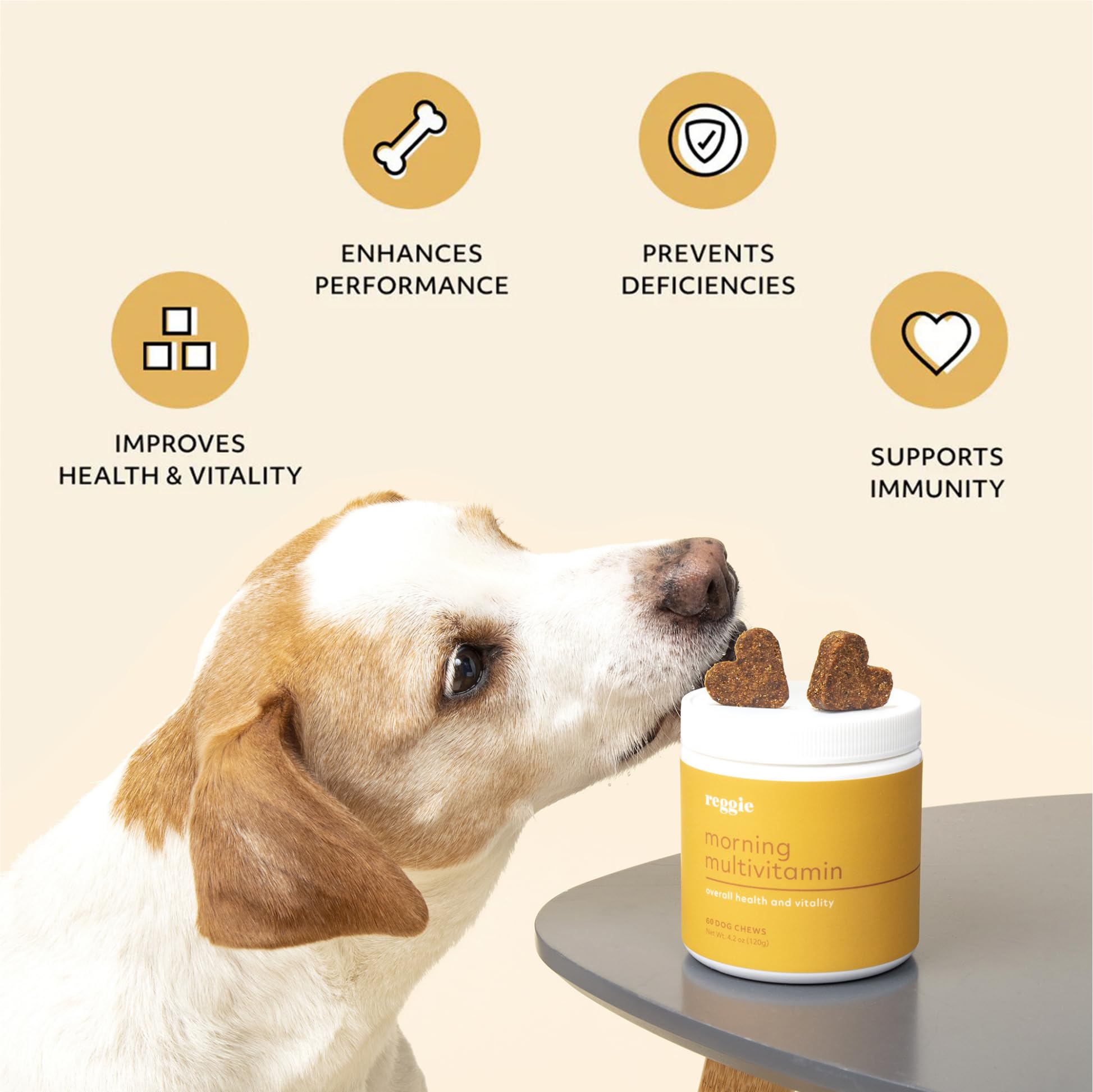 Reggie Morning Multivitamins for Dogs | Advanced Daily Immunity Booster for Heart, Joint, Skin, and Gut Health | Made in The USA, Vet-Approved, & Ideal for All Ages, Breeds, and Sizes - 60 Soft Chews