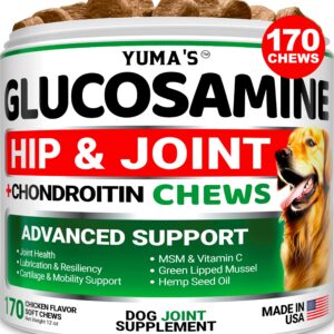 Glucosamine for Dogs - Hip and Joint Supplement for Dogs - 170 Ct - Glucosamine Chondroitin for Dogs Chews - Dog Joint Pain Relief with MSM - Advanced Dog Joint Supplement Health - Mobility Support