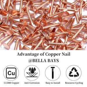 Copper Roofing Nail Set - 60 Pcs 1-Inch Copper Nails & 1/16 Inch Drill Bit, C11000 99.95% Pure Copper Nails for Roof Repair,Roof Flashing, Tree Maintenance, Stump Removal, and DIY Project