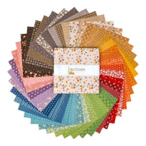 Lori Holt Autumn 10"" Stacker 42 10-inch Squares Layer Cake Riley Blake Designs 10-14650-42, Assorted