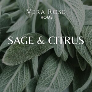 Vera Rose Home Sage & Citrus Scented Soy Candle Long Burning Highly Scented Candles 60+ Hours Clean Burning White Natural, Christmas Gift Odor Eliminating Candle Safe for Pets 12oz Jar Candle