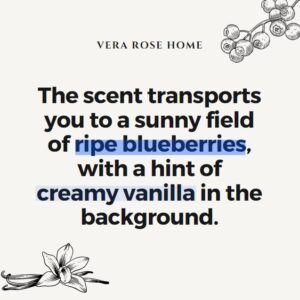 Vera Rose Home Blueberry & Vanilla Scented Soy Candle Long Burning Highly Scented Candles 60+ Hours Clean White Vegan Candle Odor Eliminating Candle Safe for Pets 12oz Jar