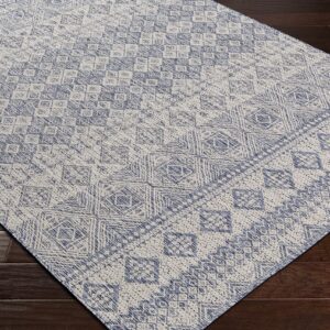 BoutiqueRugs Tominhao Bohemian, Transitional Area Rug - Outdoor Safe - Pale Blue, Tan, Navy - 7'10" x 10'