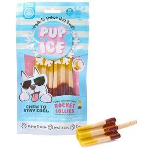 spot pup ice- ready to freeze at home dog treats-edible chews for medium breed dogs & puppies with real chicken to keep your pup cool year round, rocket lollies banana and chocolate flavor, 2pcs