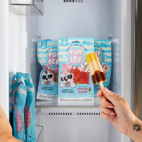 SPOT Pup Ice- Ready to Freeze at Home Dog Treats-Edible Chews for Medium Breed Dogs & Puppies with Real Chicken to Keep Your Pup Cool Year Round, Rocket Lollies Banana and Chocolate Flavor, 2pcs