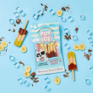 SPOT Pup Ice- Ready to Freeze at Home Dog Treats-Edible Chews for Medium Breed Dogs & Puppies with Real Chicken to Keep Your Pup Cool Year Round, Rocket Lollies Banana and Chocolate Flavor, 2pcs