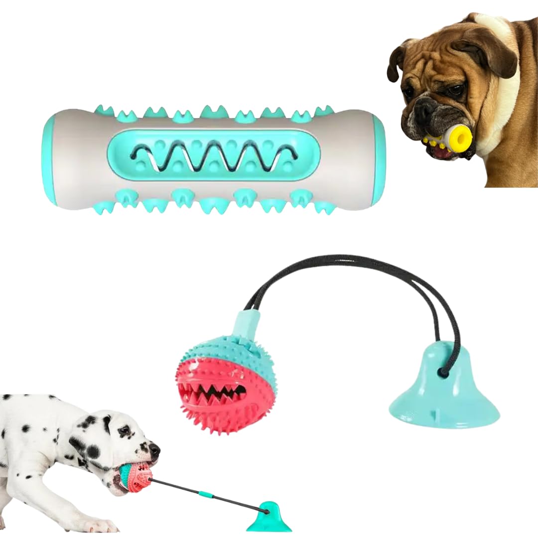 CharTess LLC Bundle -Interactive Dog Ball Combined with Bone-Shaped Chew Toy. Alleviate Separation Anxiety and Boredom, Puppy Teething Chew Toy, Toys to Improve Canine Dental Health