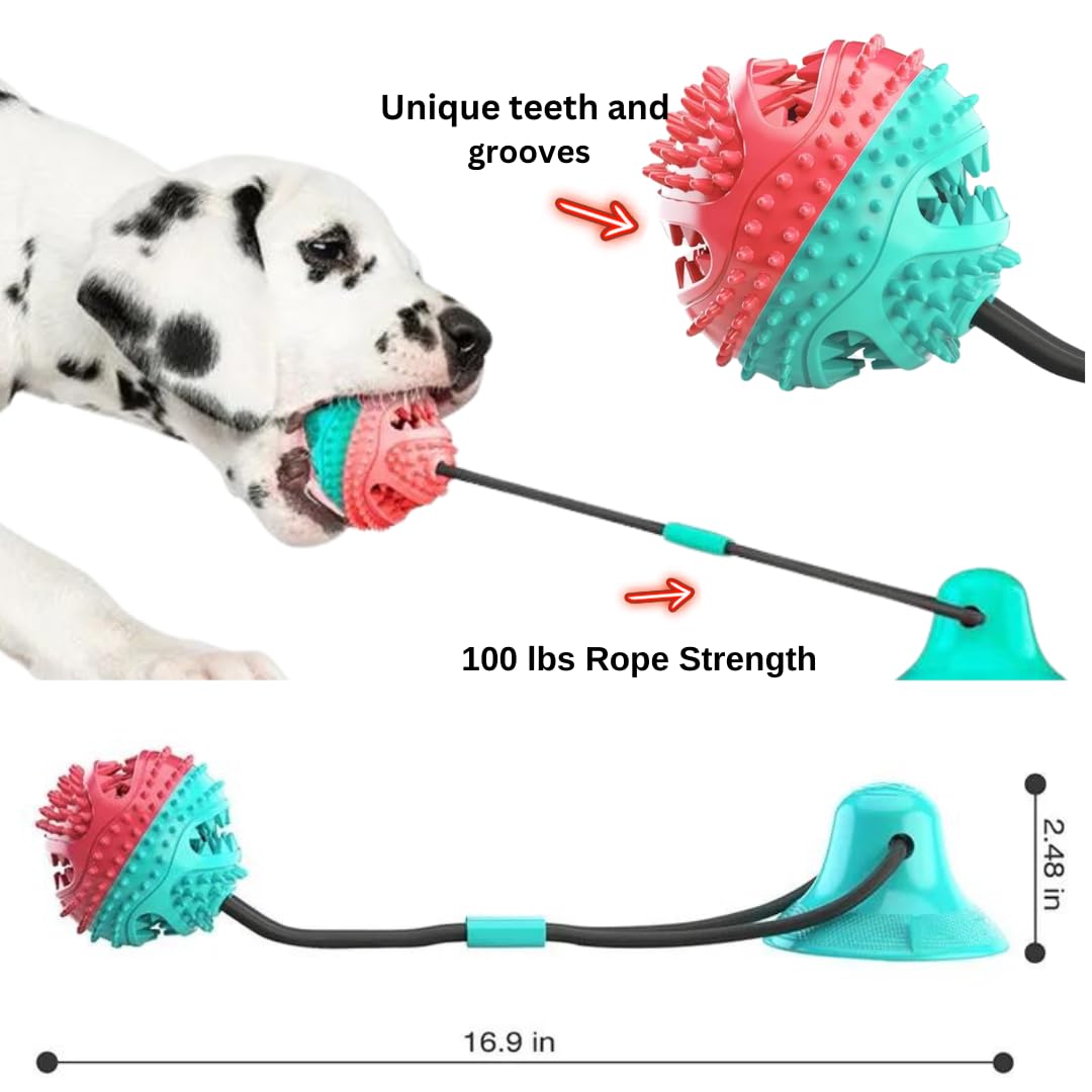 CharTess LLC Bundle -Interactive Dog Ball Combined with Bone-Shaped Chew Toy. Alleviate Separation Anxiety and Boredom, Puppy Teething Chew Toy, Toys to Improve Canine Dental Health