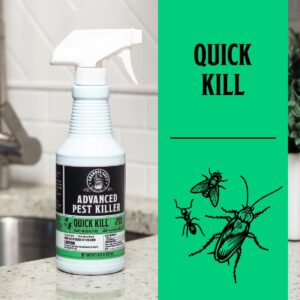 Grandpa Gus's Advanced Natural Pest Control Spray with Clove & Cottonseed Oil - Indoor & Outdoor Insect Killer for Spiders, Ants, Roaches, Earwigs, Bed Bugs & More, Pet-Friendly, 16 fl oz