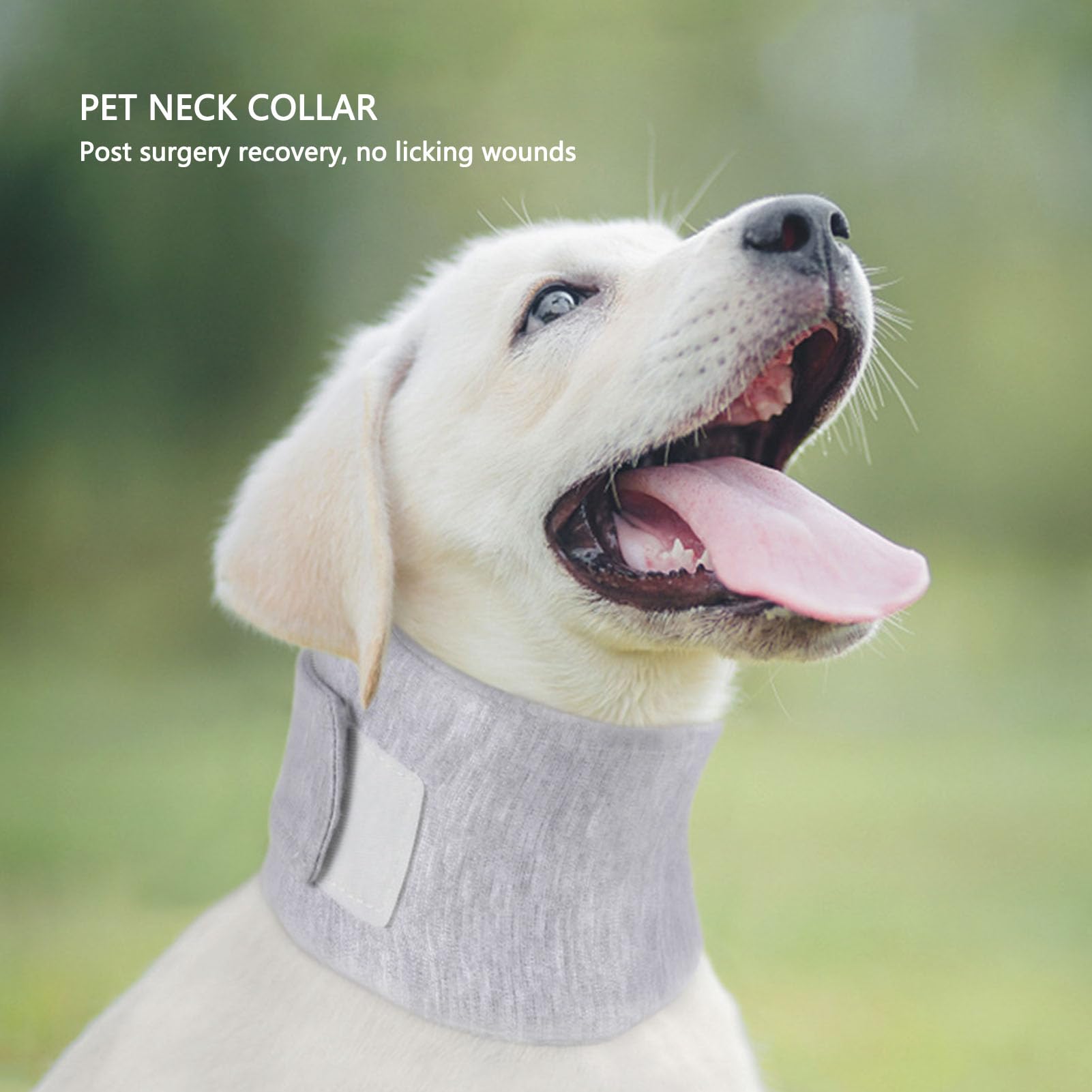 AONYAYBM Dog Neck, Dog Cervical Collar Neck Brace, Dog Neck Support Collar Adjustable Prevent Licking Protective Pet Cervical Collar for Cats Post Surgery (S, M, L, XL) (M)