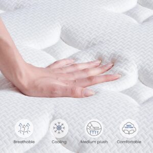 Dourxi Full Mattress, 12 inch Hybrid Full Size Mattress Gel Memory Foam for Pressure Relief with Waterproof Mattress Protector Included, Medium Plush