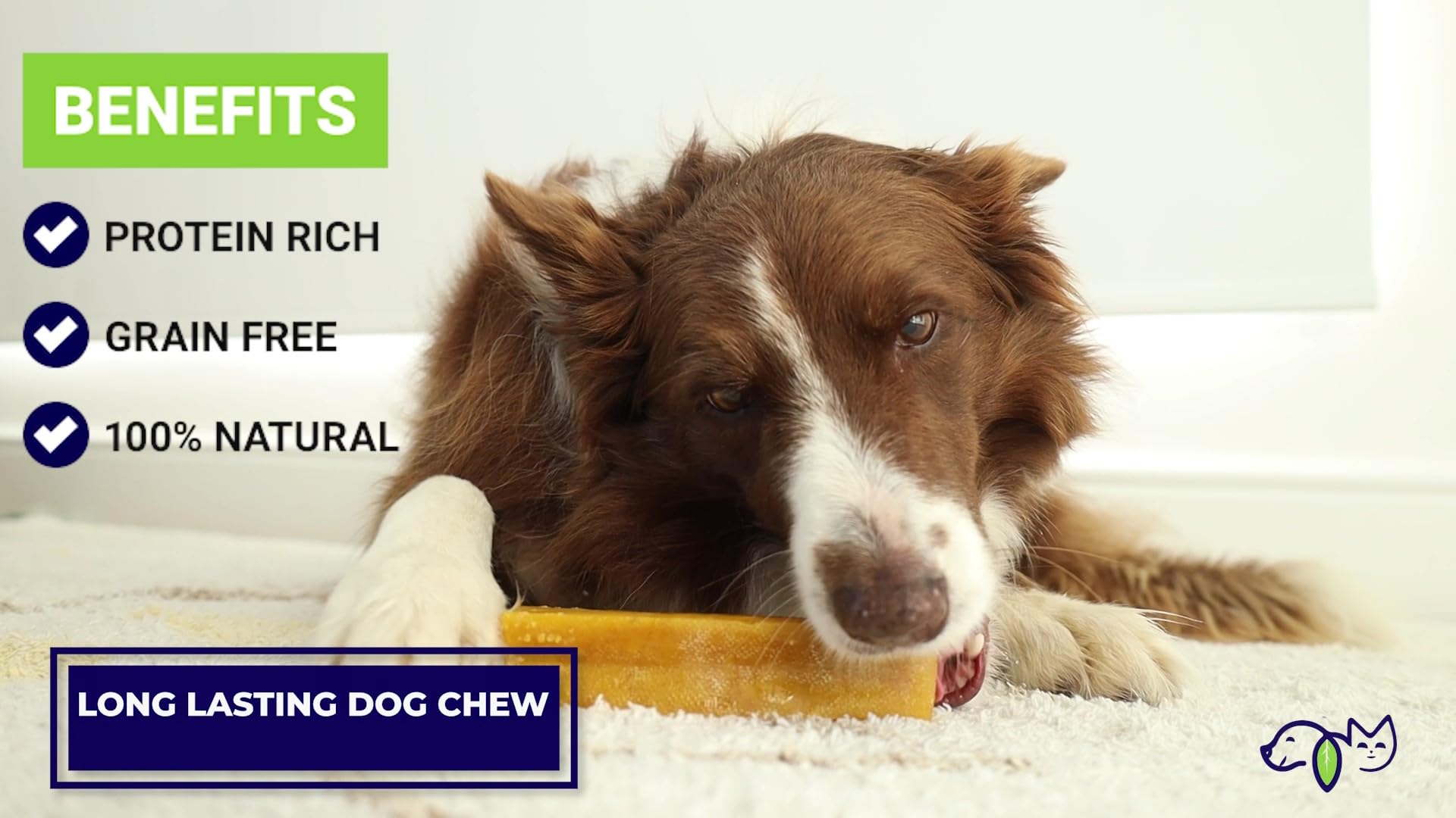 a petter way Himalayan Yak Chews, Natural Dog Treats, Limited Ingredients, 68 Grams of Protein, raw-Hide Alternative, Large Dog Chews for Aggressive chewers (Cheese)