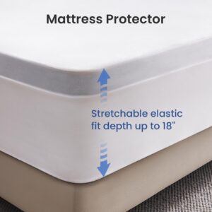 Dourxi Twin Mattress, 12 inch Hybrid Twin Size Mattress Gel Memory Foam for Pressure Relief with Waterproof Mattress Protector Included, Medium Plush