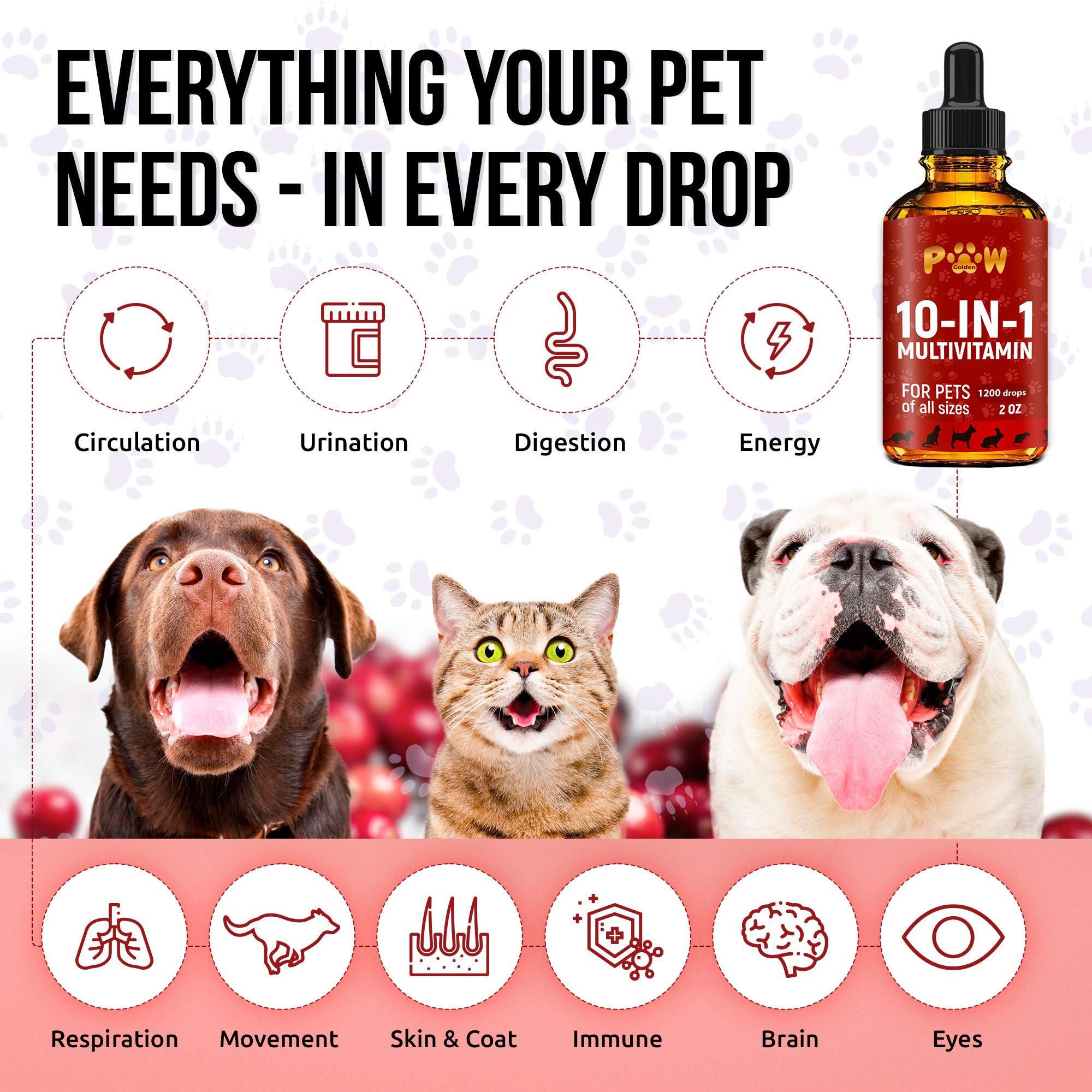 Cat & Dog Vitamins and Supplements | Probiotics for Cats | Multivitamin for Dogs | Dog Probiotic | Cat Vitamins for Indoor Cats | Cat Probiotic | Bundle