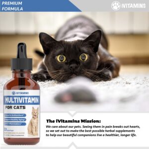 Cat Multivitamin - Supports Immune Health, Skin, Coat, Heart Health & More - Cat Vitamins - Cat Supplements & Vitamins - Cat Vitamins for Indoor Cats - Kitten Vitamins - Cat Immune Support - (1)