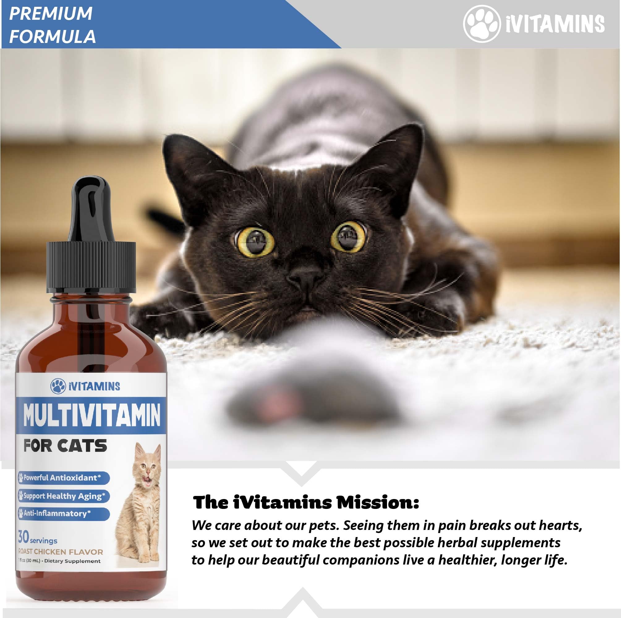 Cat Multivitamin - Supports Immune Health, Skin, Coat, Heart Health & More - Cat Vitamins - Cat Supplements & Vitamins - Cat Vitamins for Indoor Cats - Kitten Vitamins - Cat Immune Support - (1)