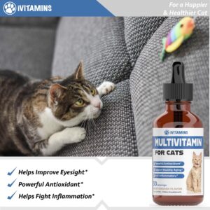 Cat Multivitamin - Supports Immune Health, Skin, Coat, Heart Health & More - Cat Vitamins - Cat Supplements & Vitamins - Cat Vitamins for Indoor Cats - Kitten Vitamins - Cat Immune Support - (1)