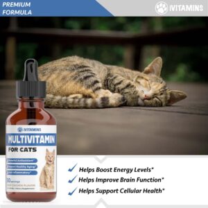 Cat Multivitamin - Supports Immune Health, Skin, Coat, Heart Health & More - Cat Vitamins - Cat Supplements & Vitamins - Cat Vitamins for Indoor Cats - Kitten Vitamins - Cat Immune Support - (1)