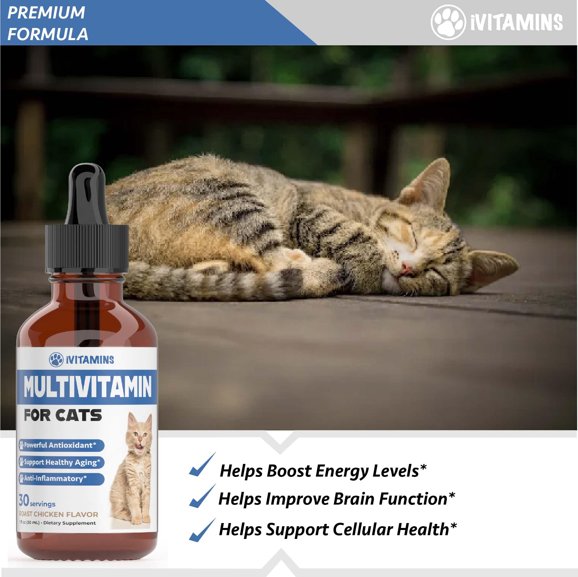 Cat Multivitamin - Supports Immune Health, Skin, Coat, Heart Health & More - Cat Vitamins - Cat Supplements & Vitamins - Cat Vitamins for Indoor Cats - Kitten Vitamins - Cat Immune Support - (1)