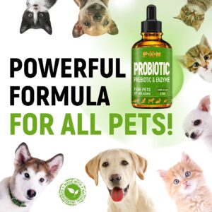 Cat & Dog Vitamins and Supplements | Probiotics for Cats | Multivitamin for Dogs | Dog Probiotic | Cat Vitamins for Indoor Cats | Cat Probiotic | Bundle