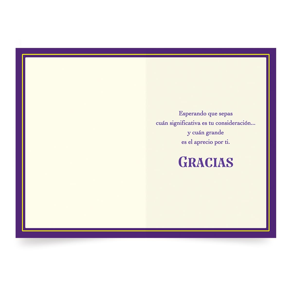 Designer Greetings Pensamientos Especiales, Spanish Thank You Cards, “GRACIAS” Purple Pattern (6 Cards and Envelopes) – Perfect for Any Occasion