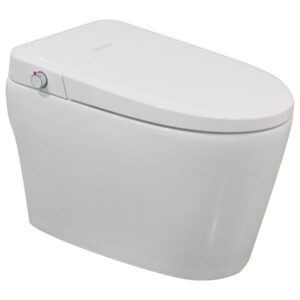 BN-6100S, 1-Piece 1.28 GPF Tankless Elongated Smart Bidet Toilet in White, Auto Flush, Heated Seat with Soft Close