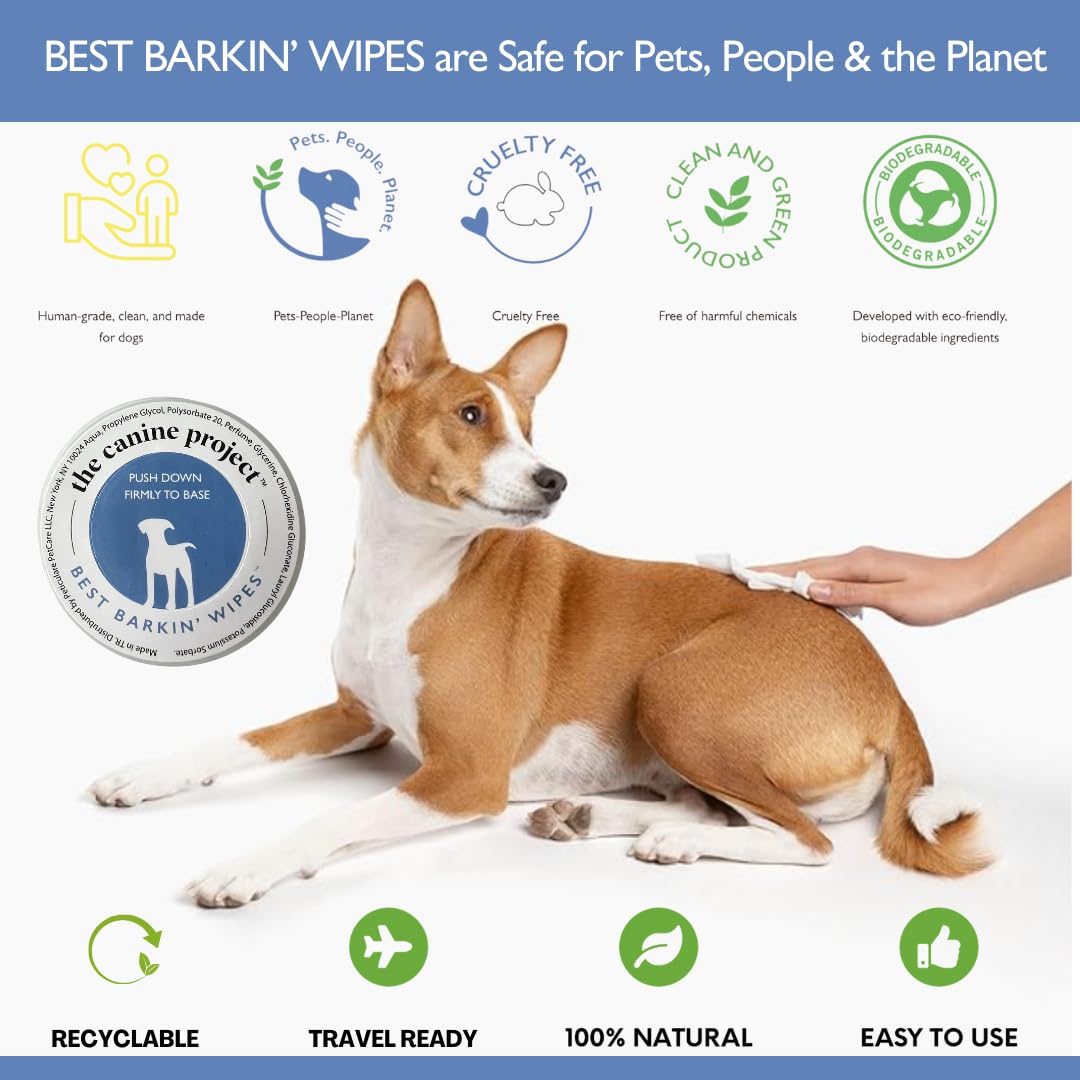 The Canine Project Best BARKIN' Wipes with Free Mesh Bag - Dog Wipes for Paws Ears and Butt - Micellar Aloe Scented Travel Friendly Puppy Wipes (12-Pack)