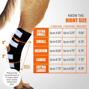 NeoAlly Dog Rear Leg (One Leg) Hock Brace, Canine Leg Wrap for Hind Leg, Ideal Hock & Ankle Support and Protection for Sprain Recovery, Achilles Tendon Injury (Extra Large (Left Leg))