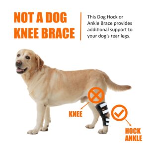 NeoAlly Dog Rear Leg (One Leg) Hock Brace, Canine Leg Wrap for Hind Leg, Ideal Hock & Ankle Support and Protection for Sprain Recovery, Achilles Tendon Injury (Extra Large (Left Leg))