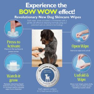 The Canine Project Best BARKIN' Wipes with Free Mesh Bag - Dog Wipes for Paws Ears and Butt - Micellar Aloe Scented Travel Friendly Puppy Wipes (12-Pack)