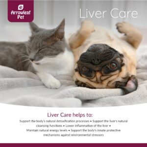 Arrowleaf Pet Liver Care by NaturPet Inc for Cats and Dogs | with Milk Thistle | Supports Body's Detoxification Processes | 100mL Herbal Tincture