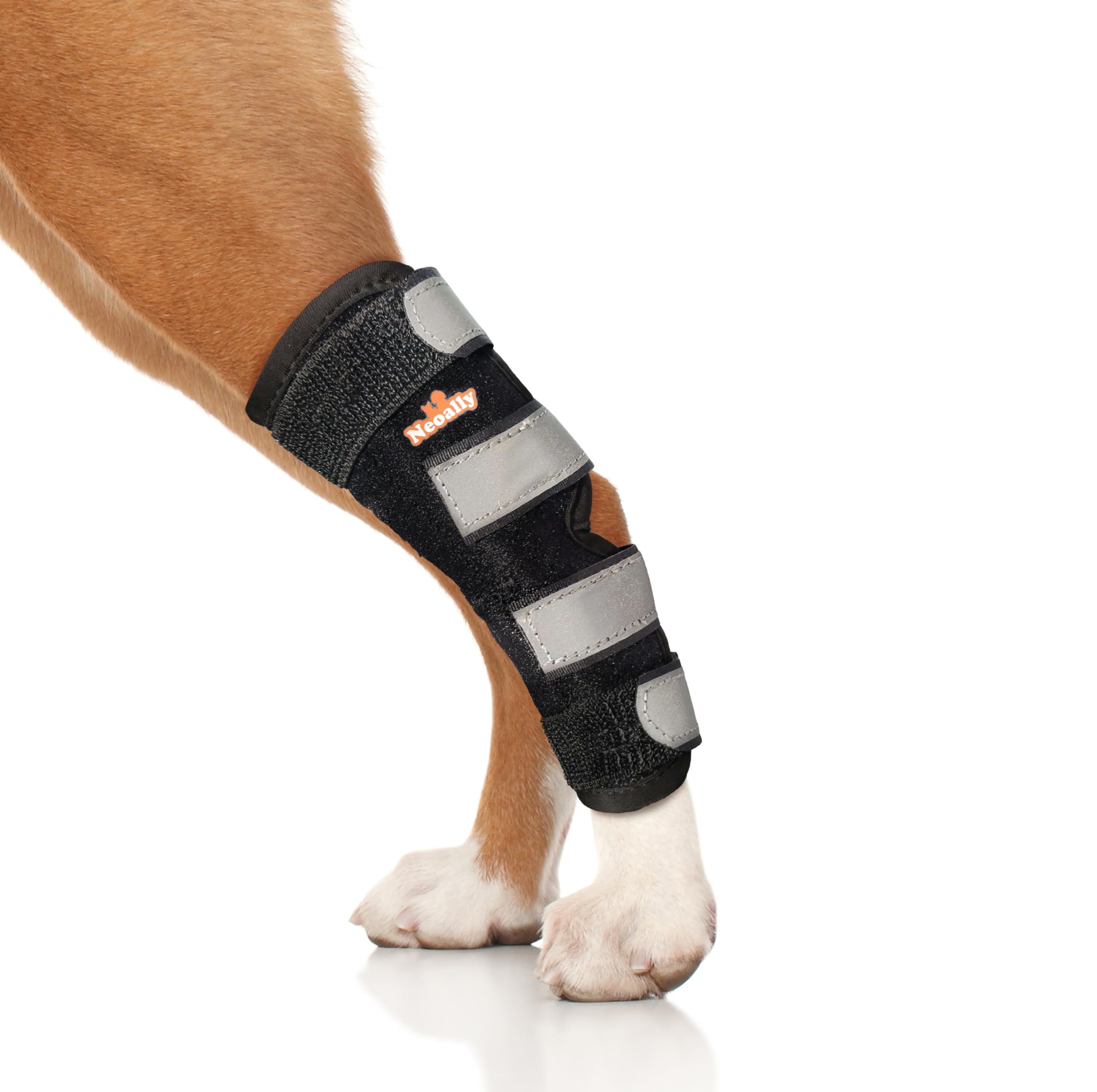 NeoAlly Dog Rear Leg (One Leg) Hock Brace, Canine Leg Wrap for Hind Leg, Ideal Hock & Ankle Support and Protection for Sprain Recovery, Achilles Tendon Injury (Extra Large (Left Leg))