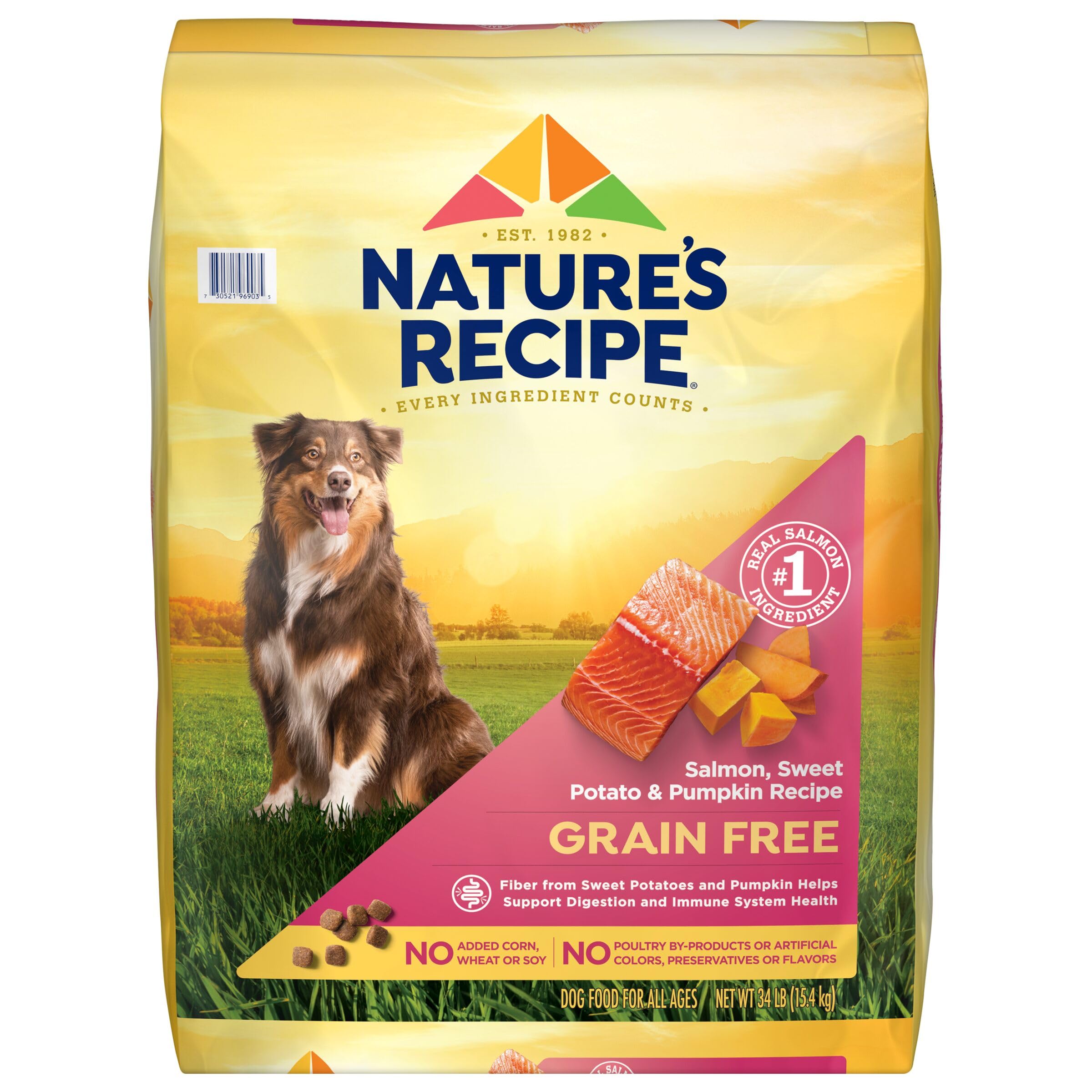 Nature′s Recipe Grain Free Salmon, Sweet Potato & Pumpkin Recipe Dry Dog Food, 34 lb. Bag