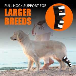 NeoAlly Dog Rear Leg (One Leg) Hock Brace, Canine Leg Wrap for Hind Leg, Ideal Hock & Ankle Support and Protection for Sprain Recovery, Achilles Tendon Injury (Extra Large (Left Leg))