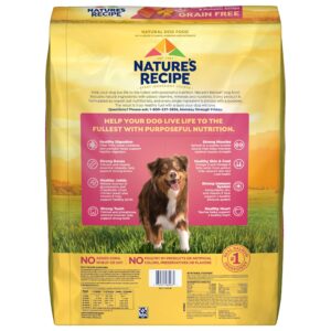 Nature′s Recipe Grain Free Salmon, Sweet Potato & Pumpkin Recipe Dry Dog Food, 34 lb. Bag