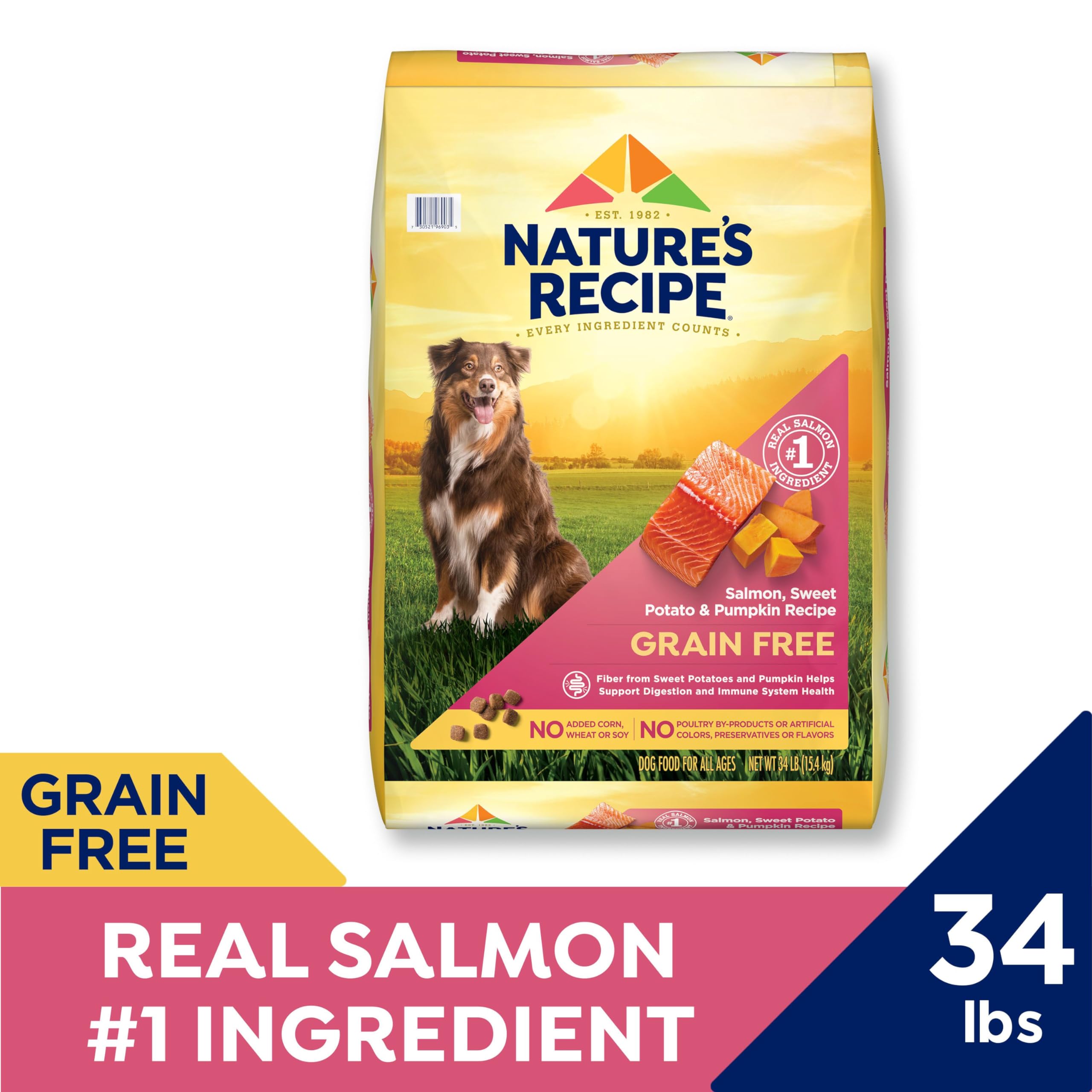 Nature′s Recipe Grain Free Salmon, Sweet Potato & Pumpkin Recipe Dry Dog Food, 34 lb. Bag