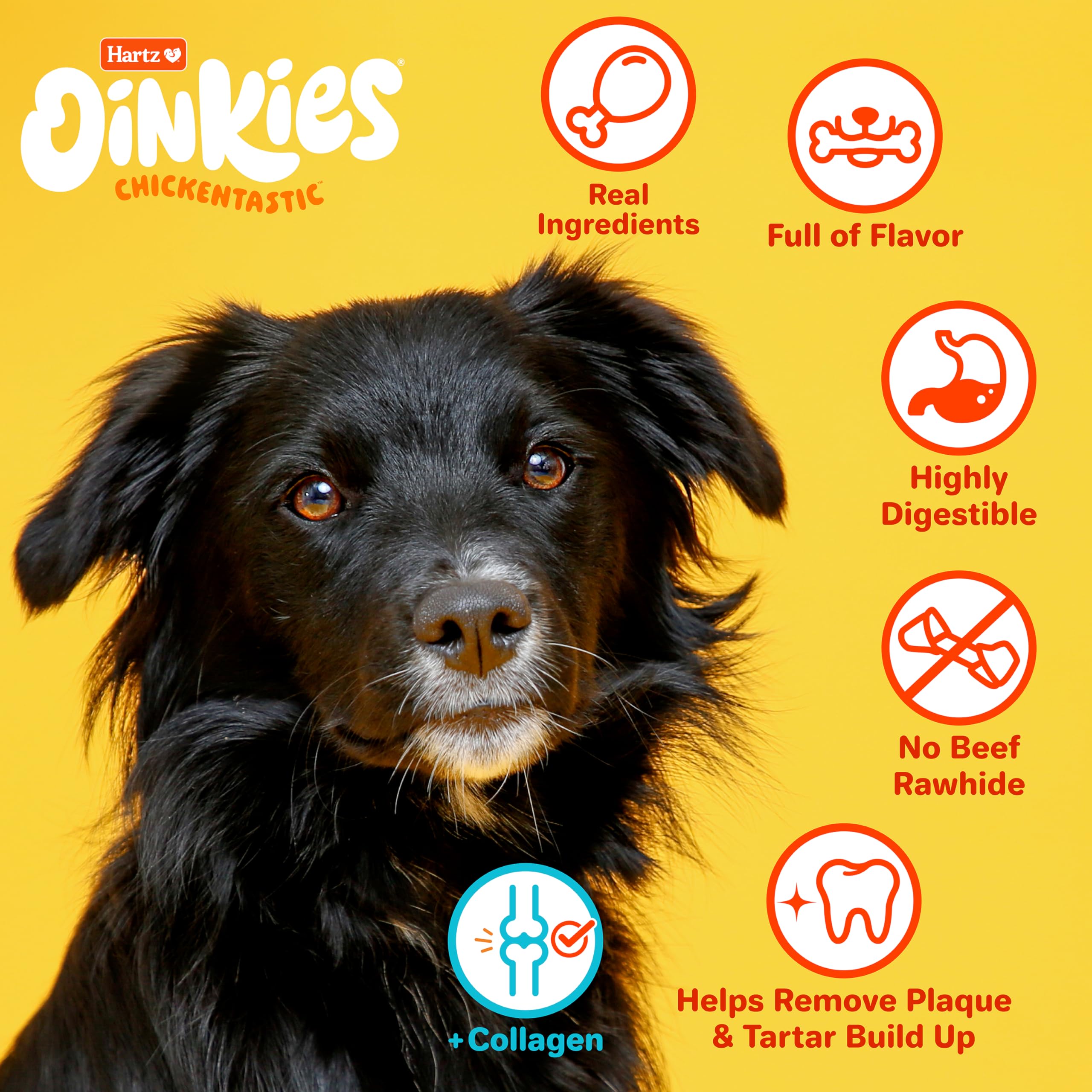 Hartz Oinkies Twirls + Collagen to Support Skin & Joints, Made with Real Chicken Breast, Highly Disgestible Dog Chews, 20 Count