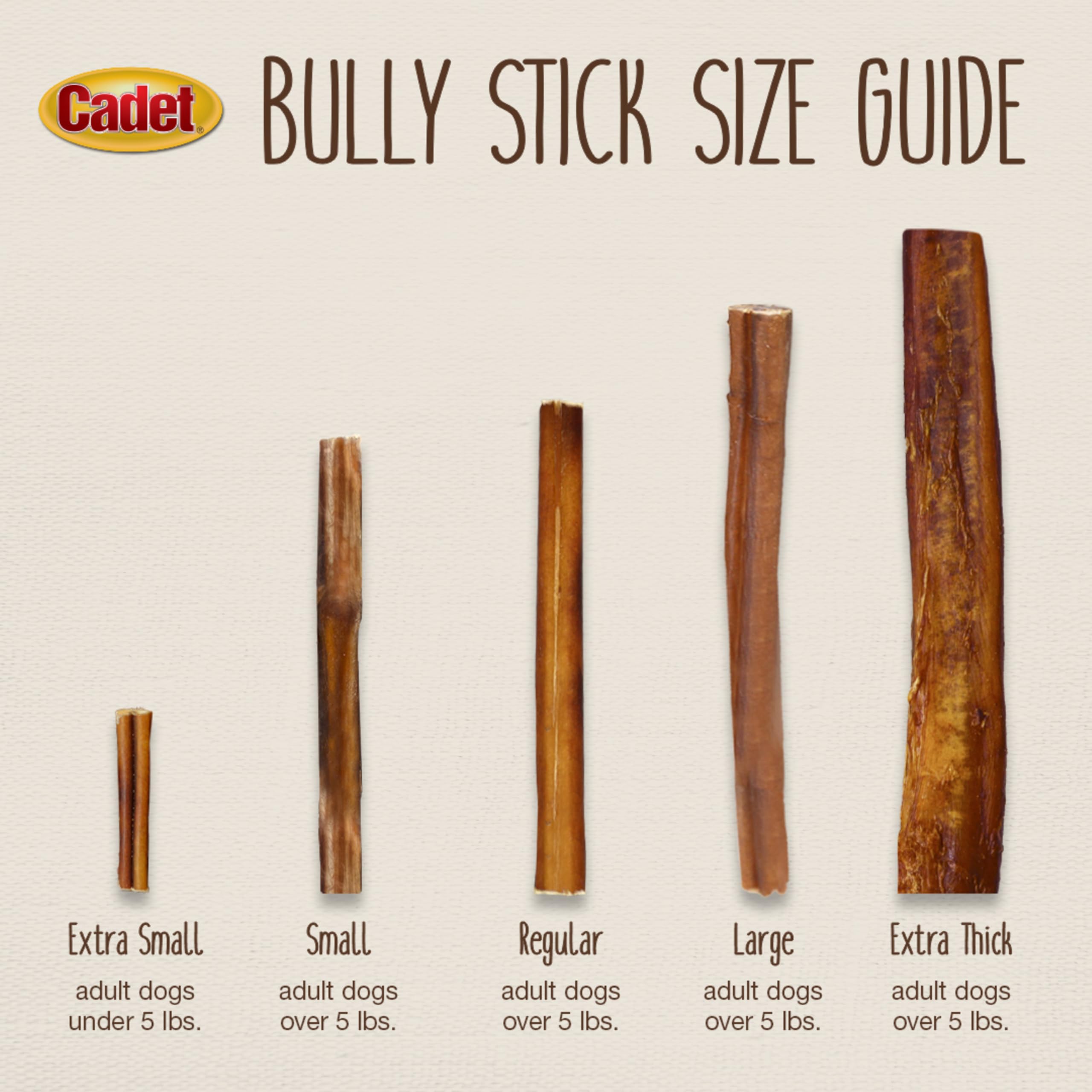 Cadet Bully Hide Sticks for Large Dogs – All-Natural Beef Pizzle, High Protein, Low Fat, Long-Lasting, Grain & Rawhide-Free Dog Chews for Aggressive Chewers, Large (1 Count)