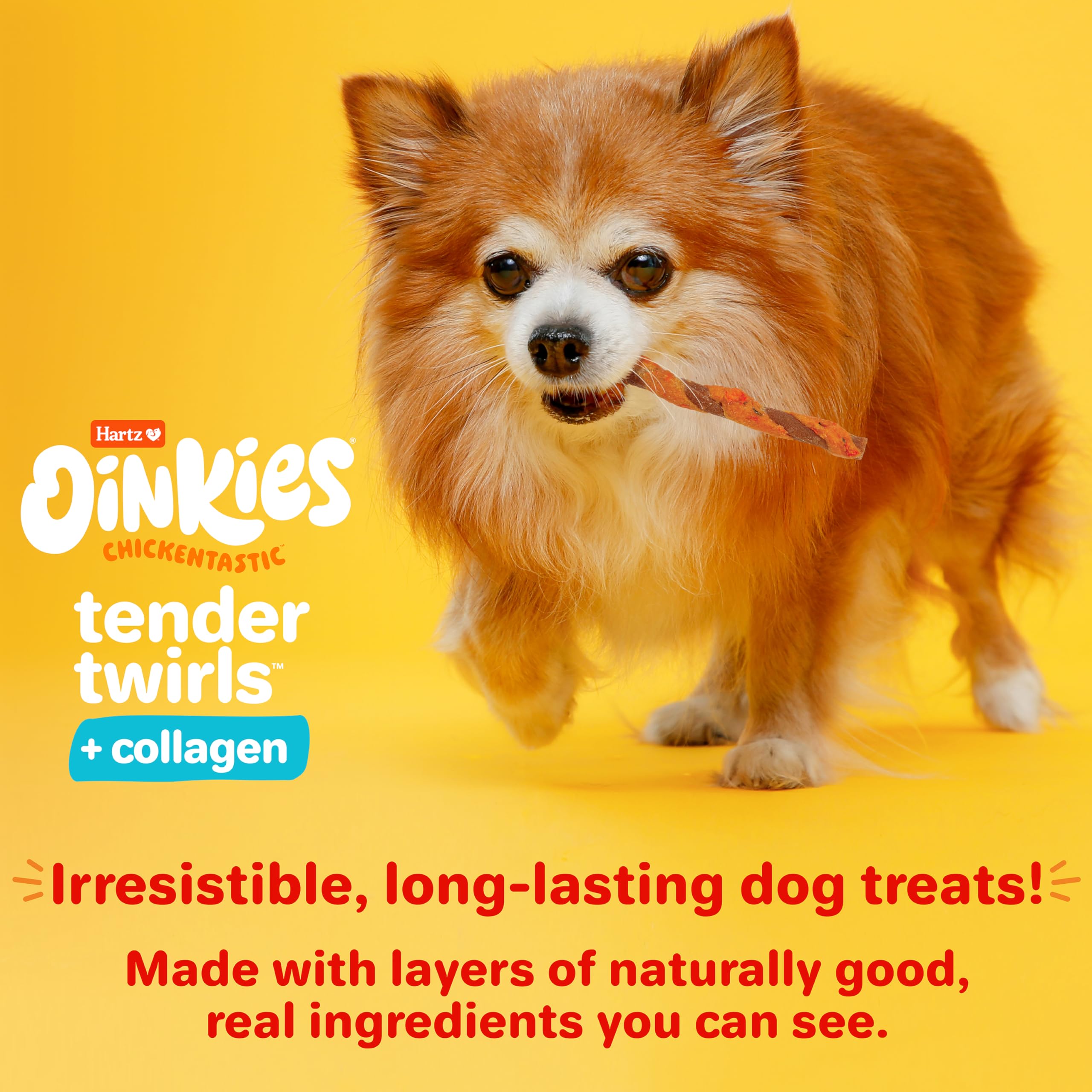 Hartz Oinkies Twirls + Collagen to Support Skin & Joints, Made with Real Chicken Breast, Highly Disgestible Dog Chews, 20 Count