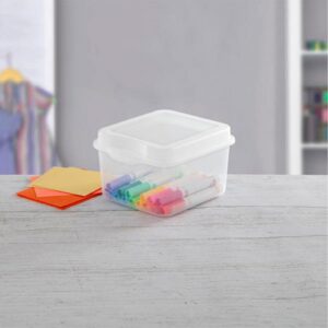 IFFANY Plastic FlipTop Hinged Storage Box Container w/Latching Lid (12 Pack)