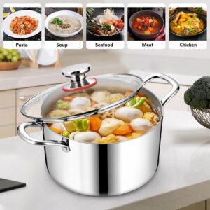 THEGA Stainless Steel Stock Pot - Large Stock Pot With Lid, Round Stock Pot With Soft-Touch Handles, Tri-ply Pasta/Chicken/Soup Pot, Stockpot For Steaming And Stewing, Dishwasher Safe, 8QT