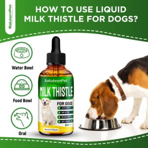 Milk Thistle for Dogs and Puppies | Liver Support for Dogs | Kidney Support for Dogs | Dog Liver Supplement | Herbal Composition Only | Attractive Bacon Flavor | 2 Oz