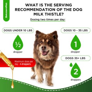 Milk Thistle for Dogs and Puppies | Liver Support for Dogs | Kidney Support for Dogs | Dog Liver Supplement | Herbal Composition Only | Attractive Bacon Flavor | 2 Oz