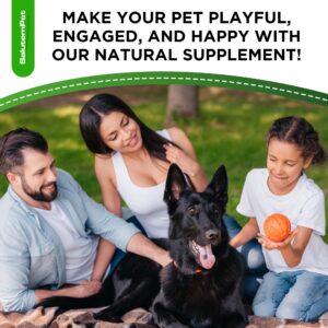 Probiotics for Dogs | Liquid Probiotics for Dogs | Prebiotic for Dogs & Digestive Enzymes | Puppy Probiotic | Dog Probiotics and Digestive Enzymes | 2 Oz