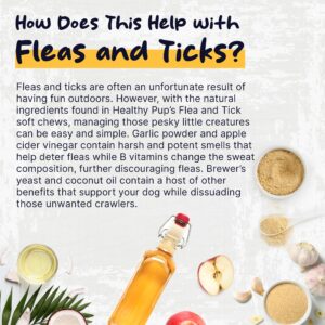 Flea and Tick Prevention for Dogs, Chewable – 90 Peanut Butter Flavored Soft Chews – Made with B Vitamins, Garlic Powder, Brewers Yeast, Coconut Oil, and Apple Cider Vinegar